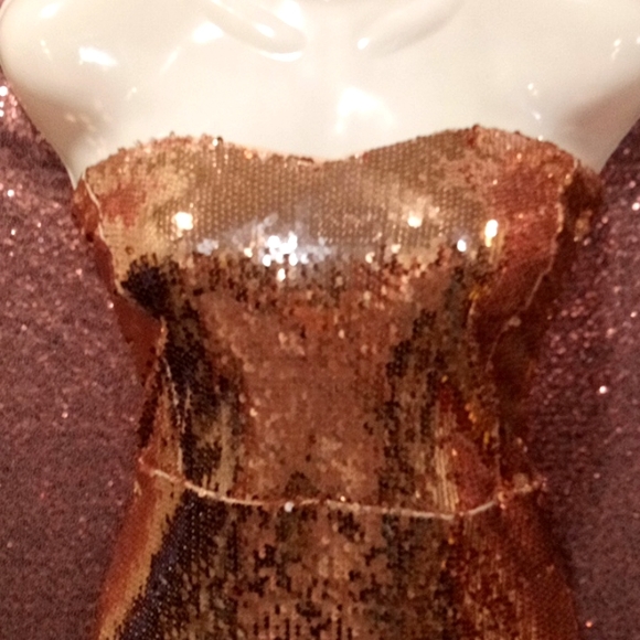 NWOT💕Forever 21 *SZ 1X  Bronze Sequined Dress! Nude Spandex Attached Under Slip - Picture 3 of 9